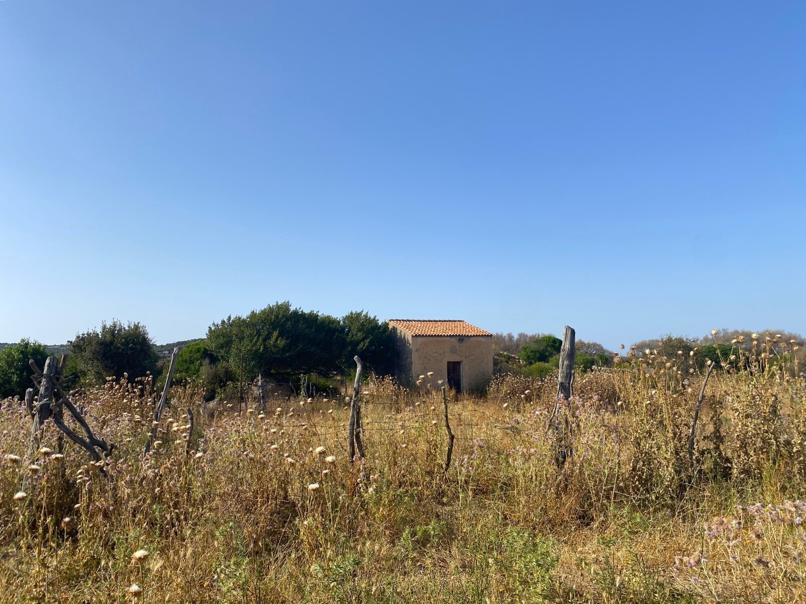 Ihr Rückzugsort auf 38 Hektar, Aglientu