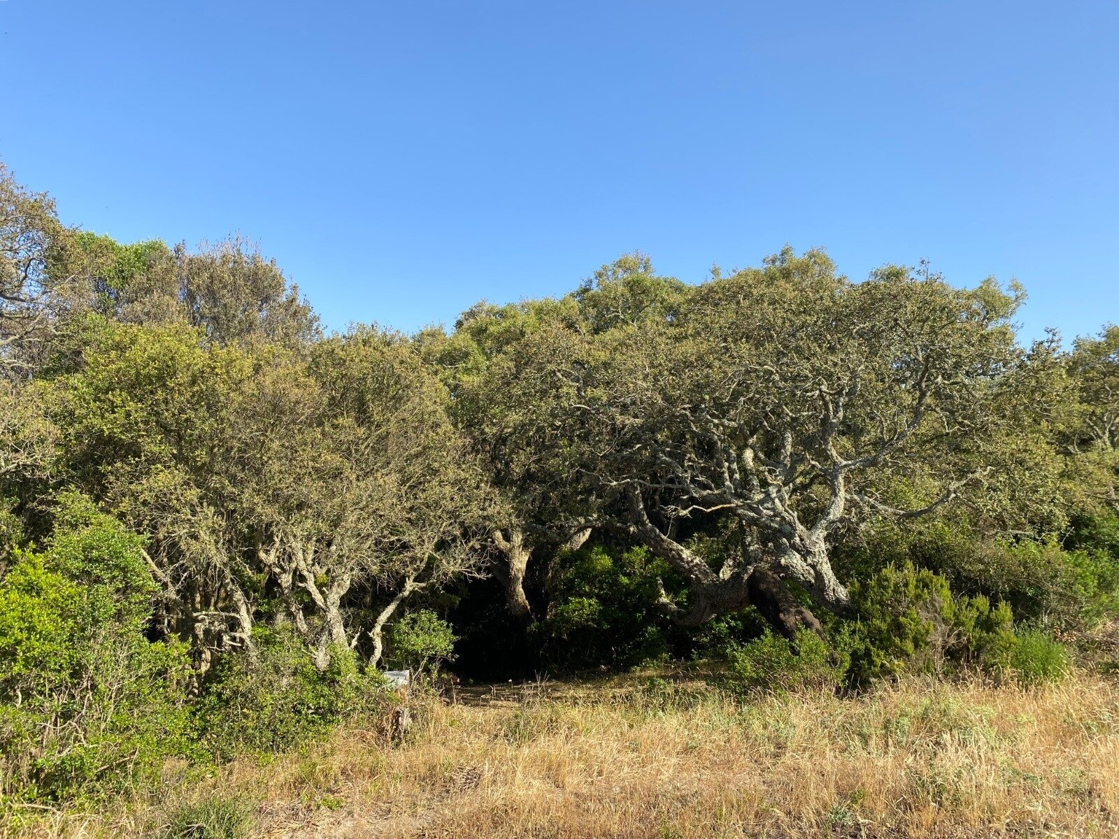 Ihr Rückzugsort auf 38 Hektar, Aglientu