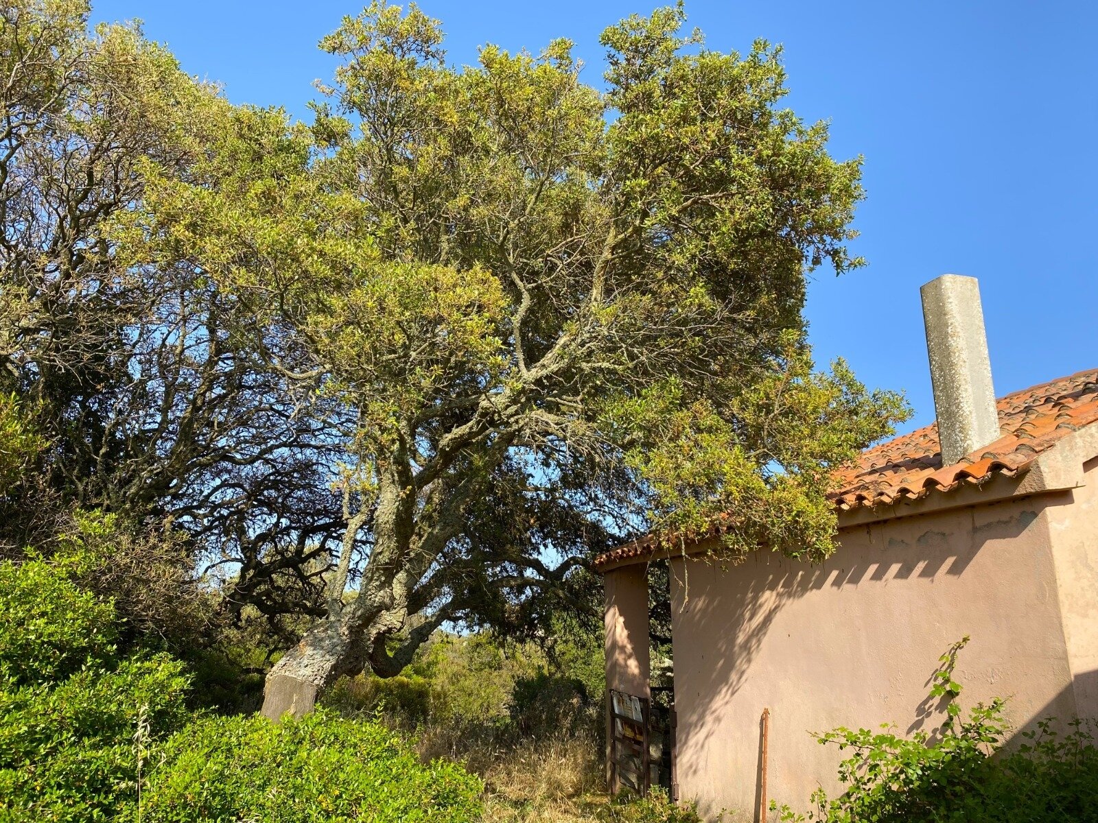 Ihr Rückzugsort auf 38 Hektar, Aglientu