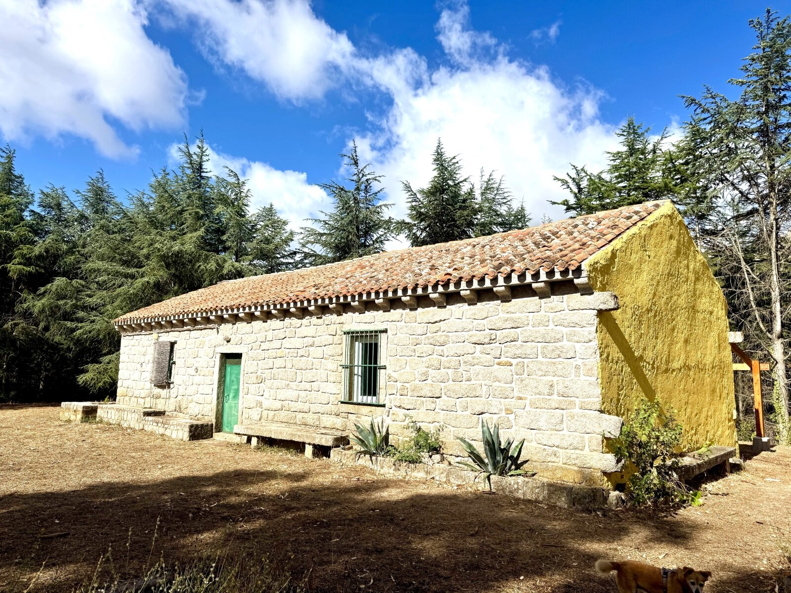 Teilrestauriertes Stazzo mit 3,5 Hektar, Luogosanto