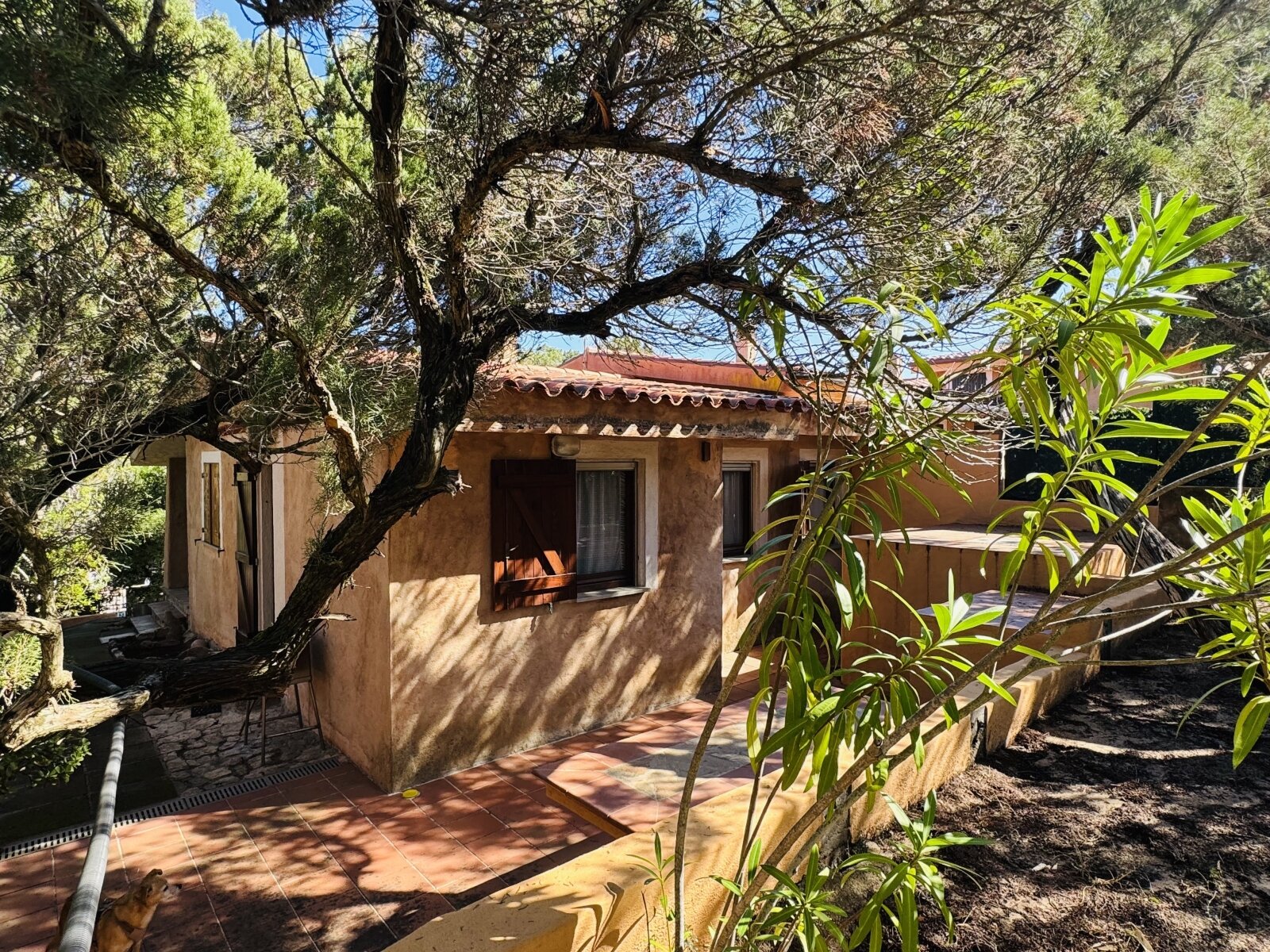 Ferienhaus in Rena Majore kaufen