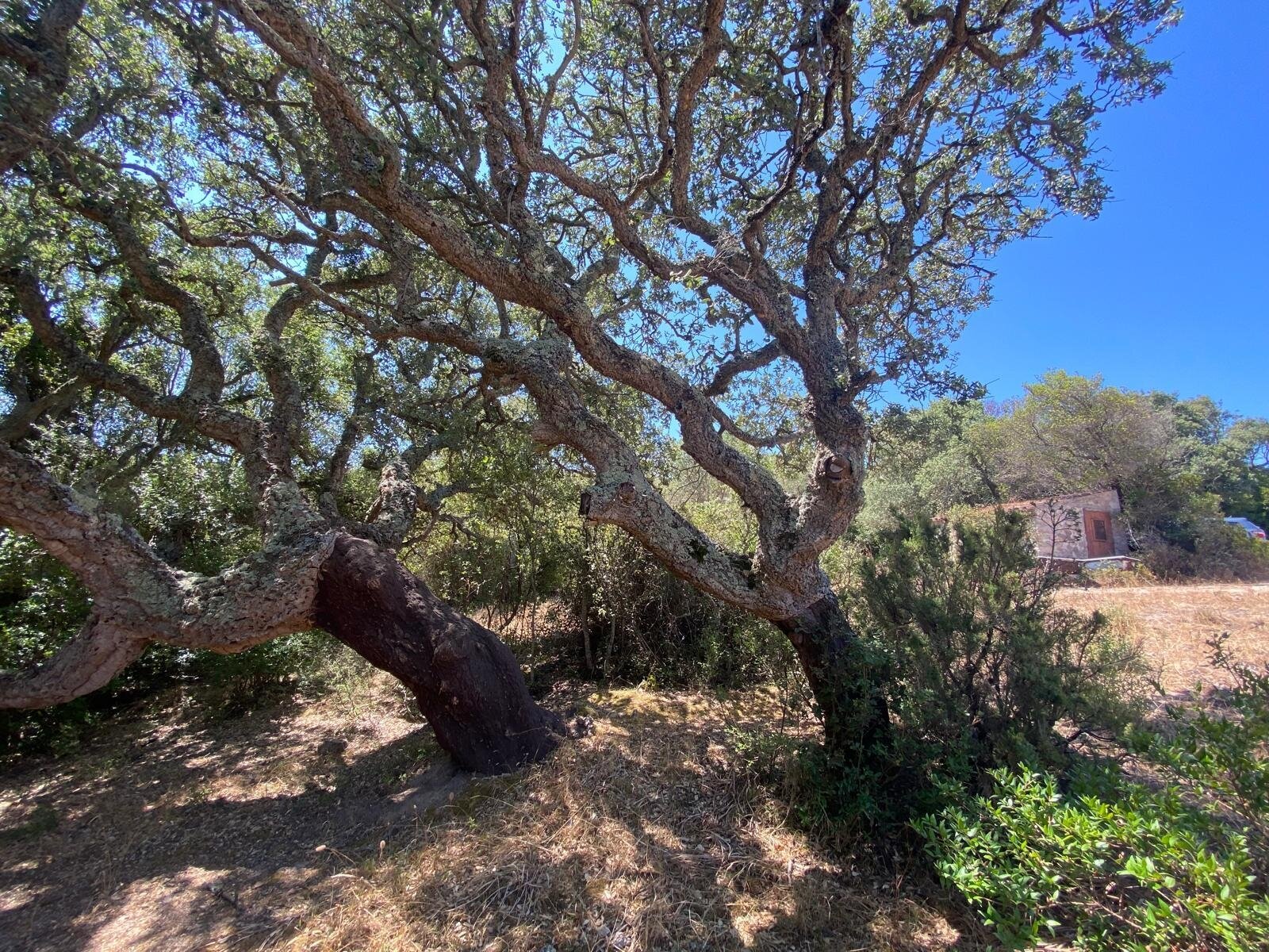 Ihr Rückzugsort auf 38 Hektar, Aglientu