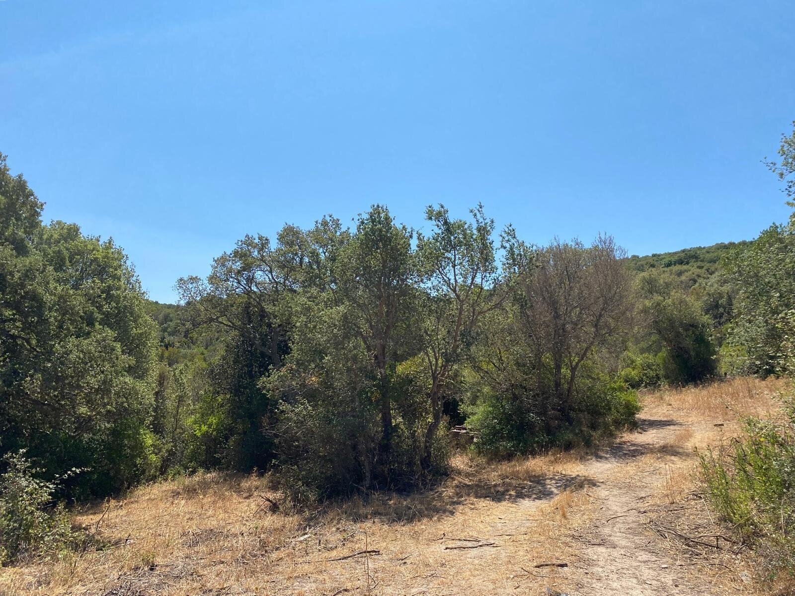 Ihr Rückzugsort auf 38 Hektar, Aglientu