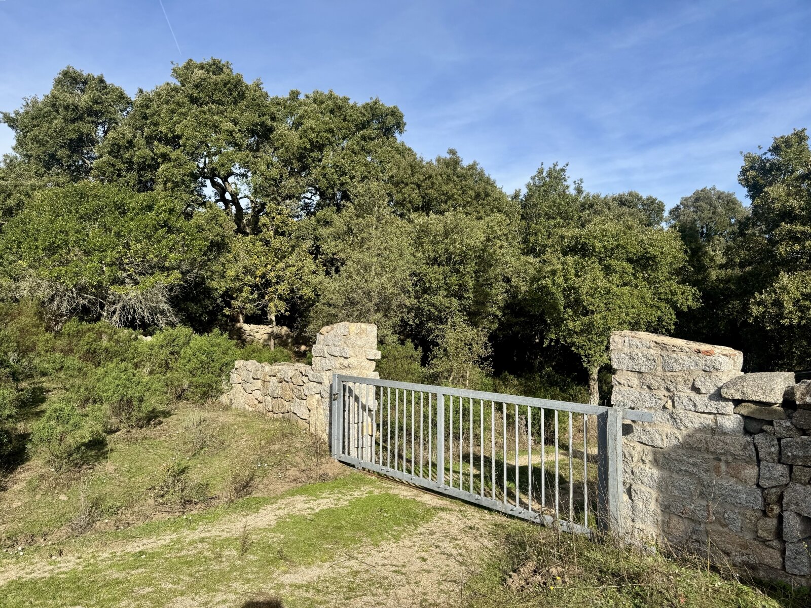 Absolute Ruhe, 13 Hektar, 4000 Korkeichen