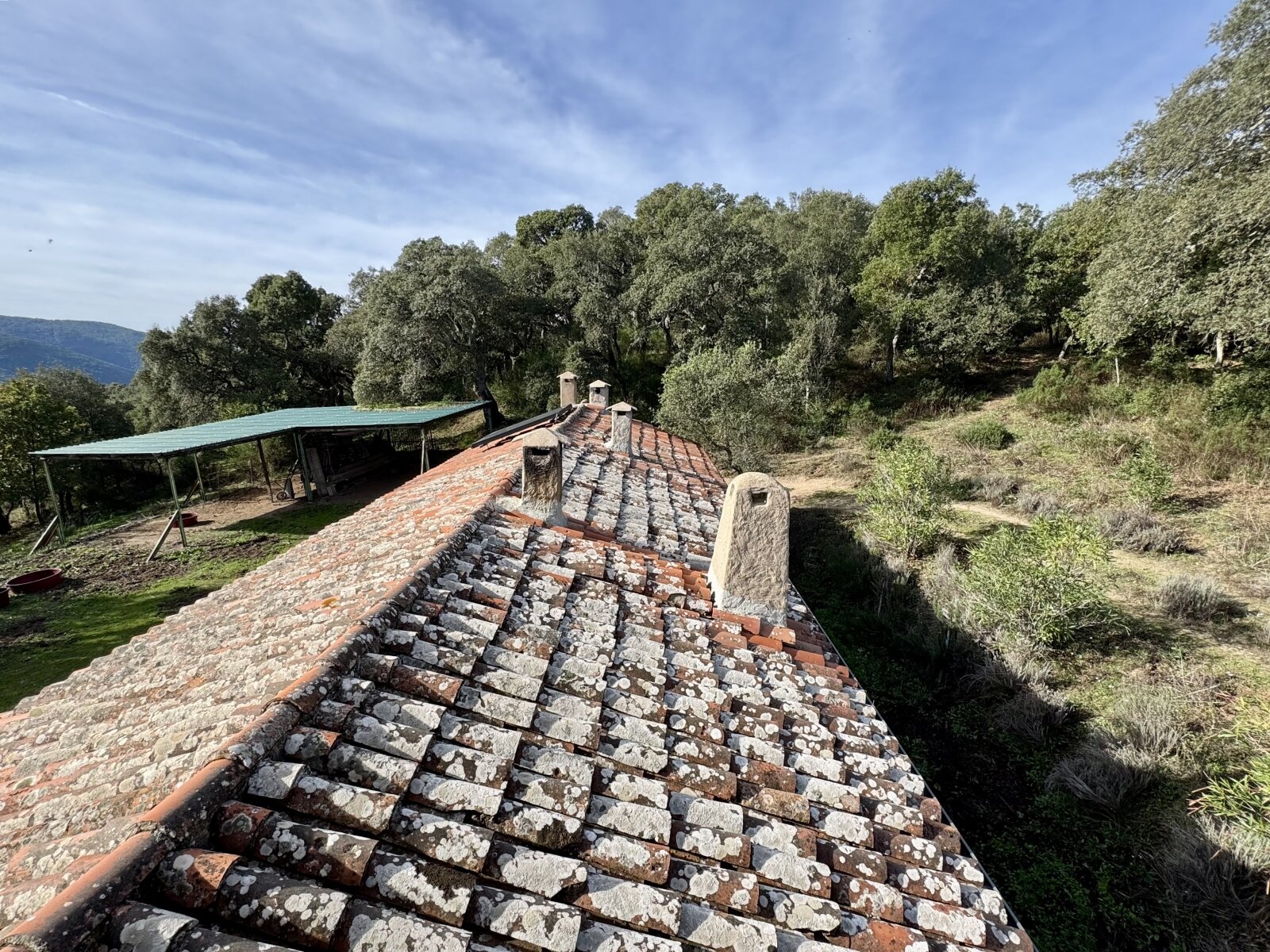 Absolute Ruhe, 13 Hektar, 4000 Korkeichen