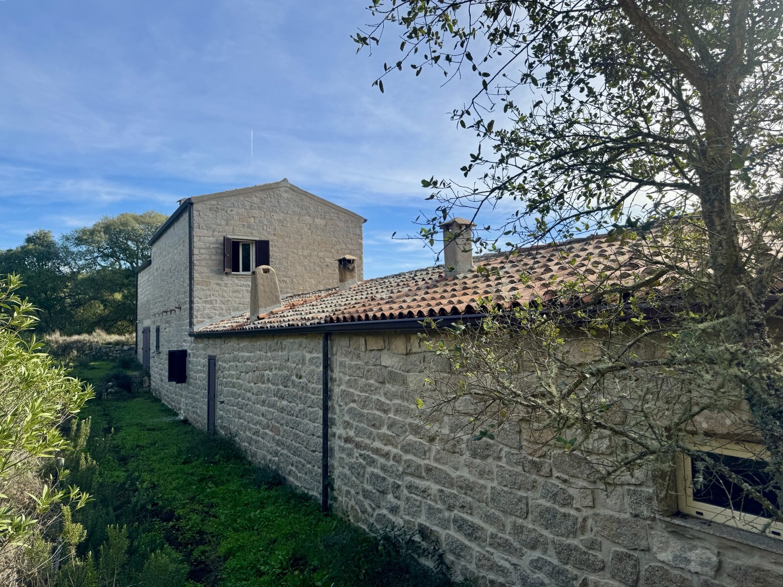 Absolute Ruhe, 13 Hektar, 4000 Korkeichen