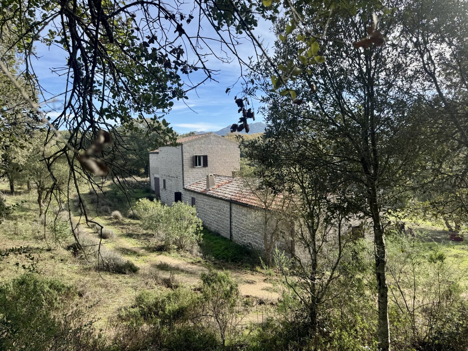 Absolute Ruhe, 13 Hektar, 4000 Korkeichen