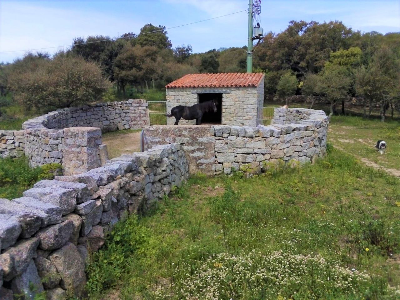 Leben auf dem Land, Tempio