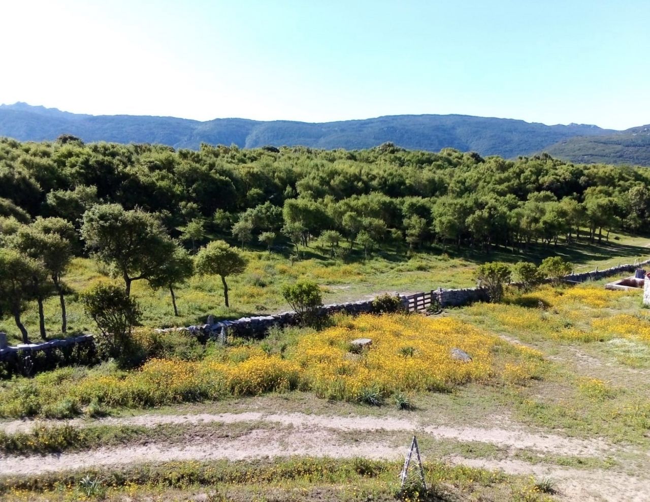Leben auf dem Land, Tempio