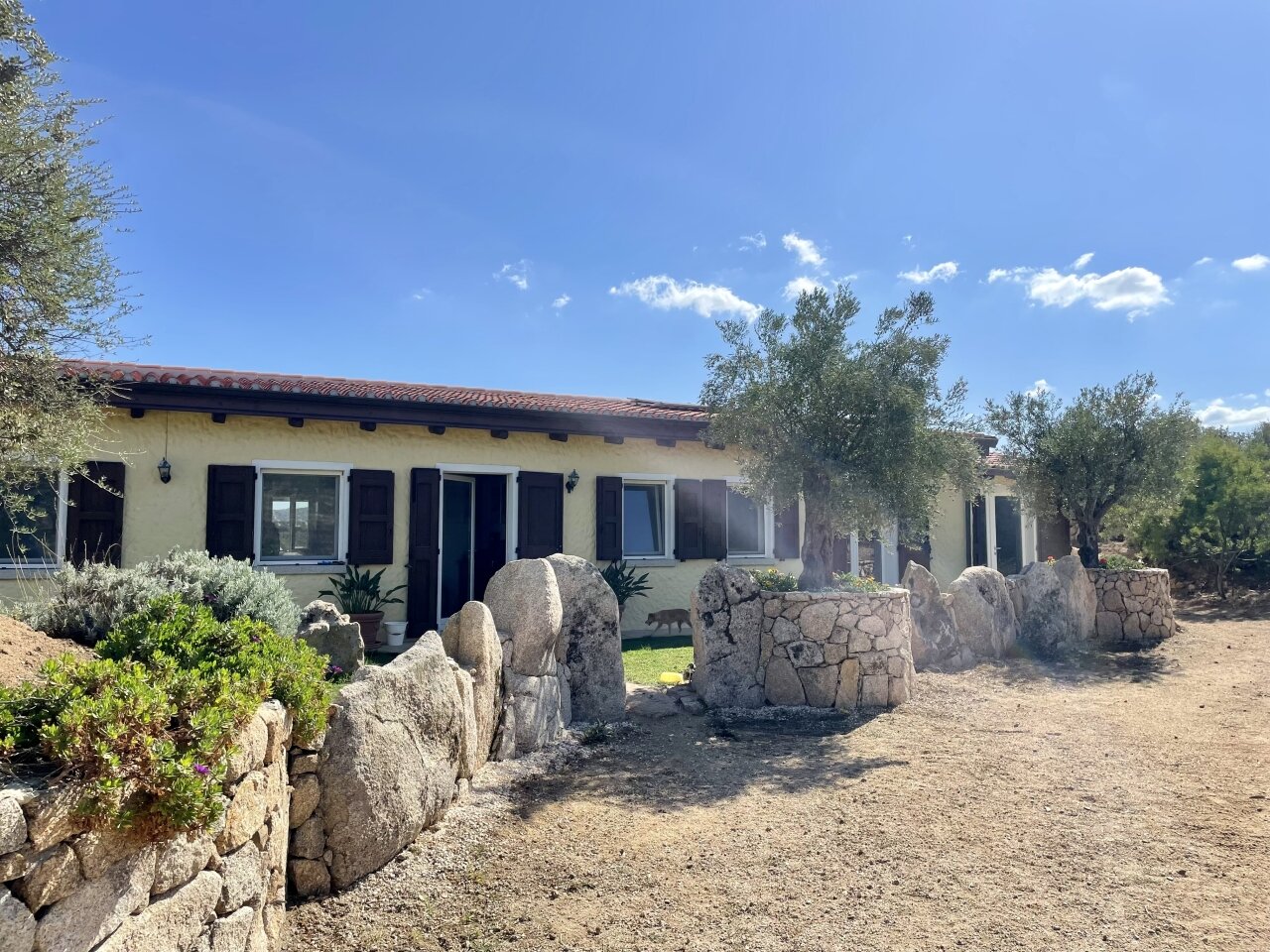 Perfektes Landhaus mit Pool in Gallura, 3 Hektar