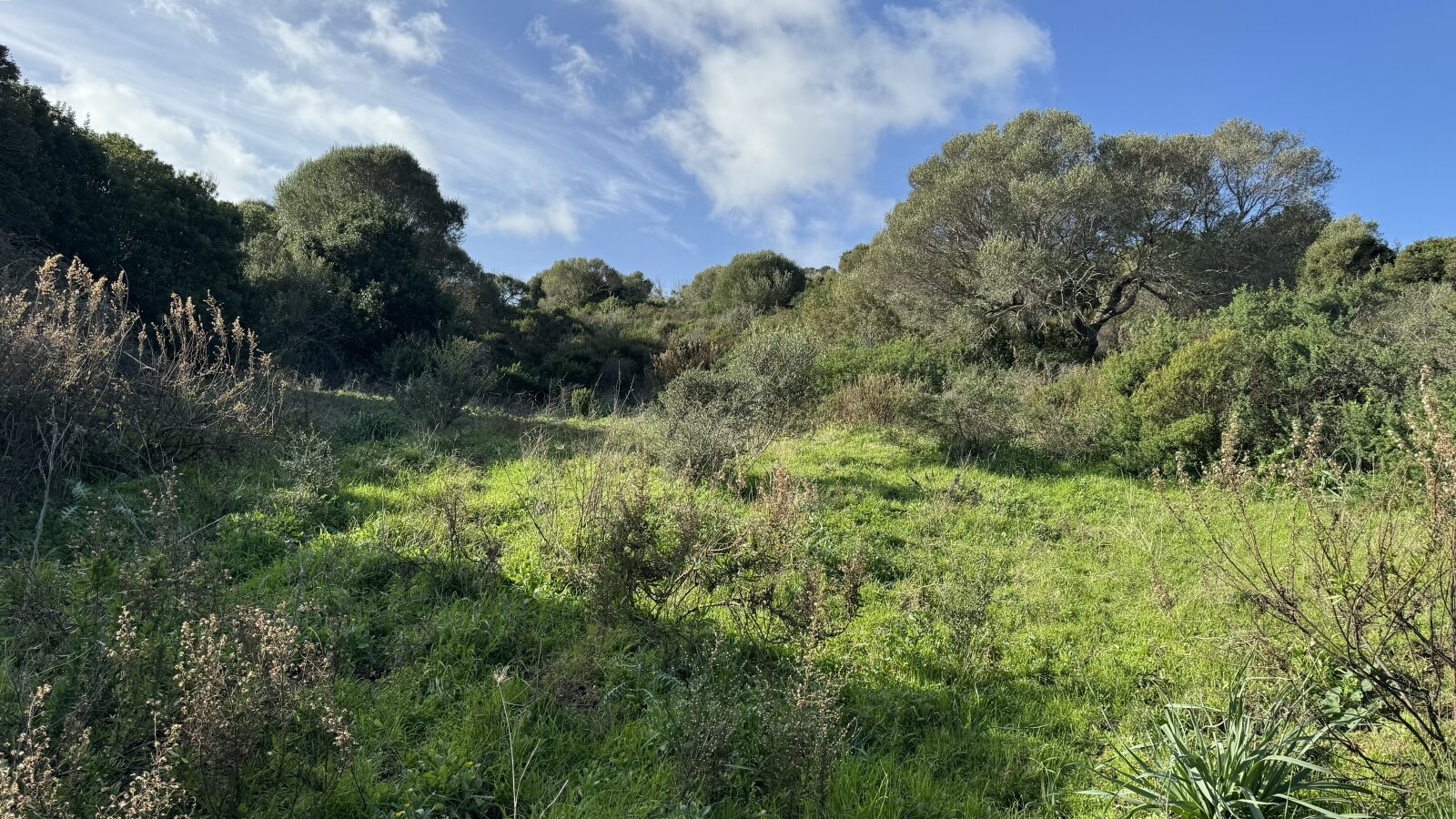 Große Struktur mit Meerblick und Potenzial, Vignola