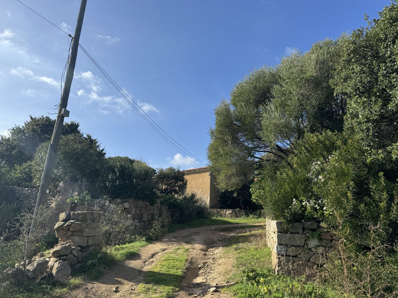 Große Struktur mit Meerblick und Potenzial, Vignola