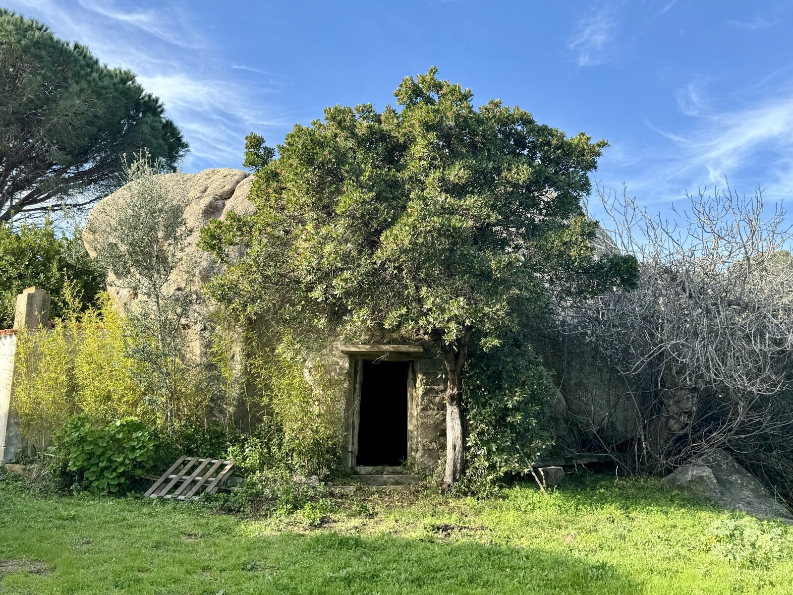 Große Struktur mit Meerblick und Potenzial, Vignola