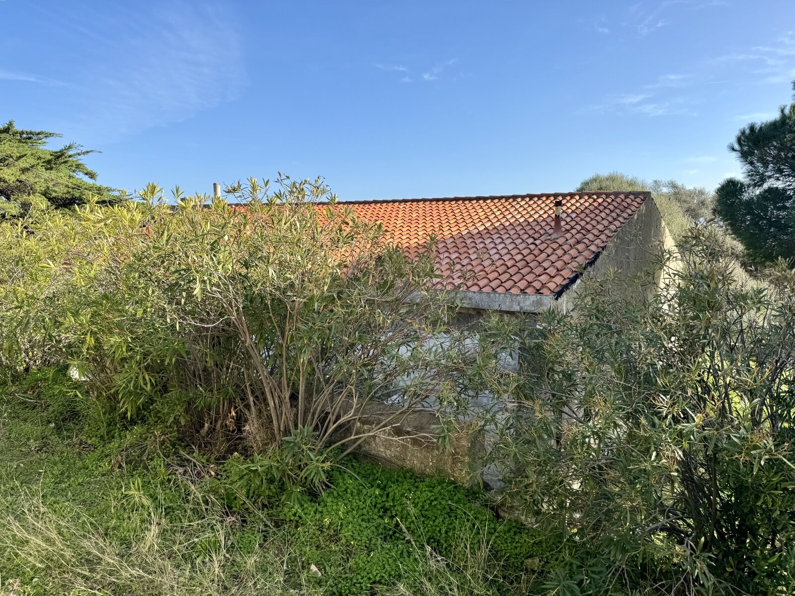 Große Struktur mit Meerblick und Potenzial, Vignola