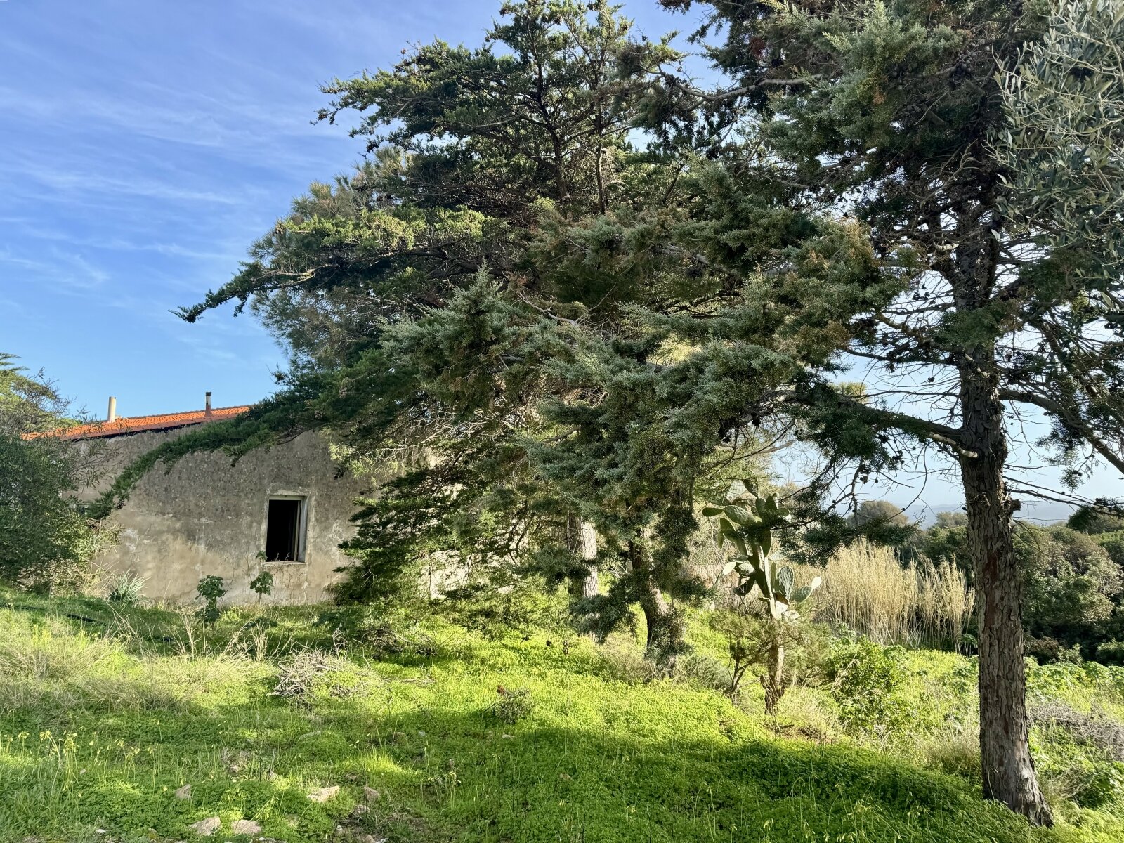 Große Struktur mit Meerblick und Potenzial, Vignola