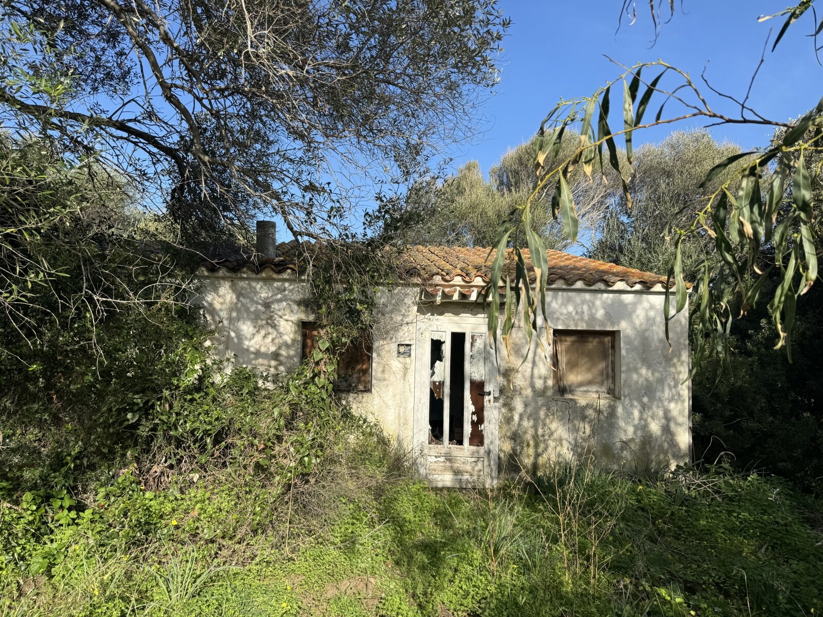 Große Struktur mit Meerblick und Potenzial, Vignola