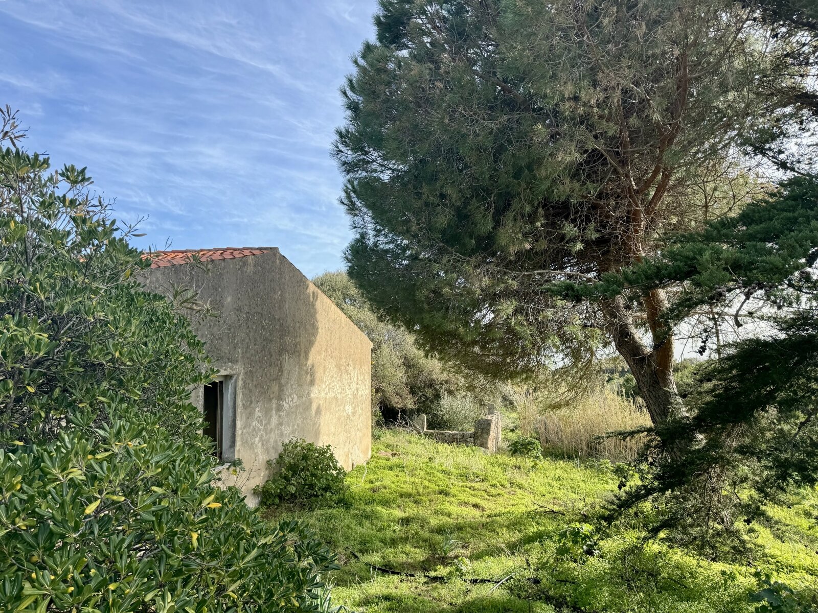Große Struktur mit Meerblick und Potenzial, Vignola