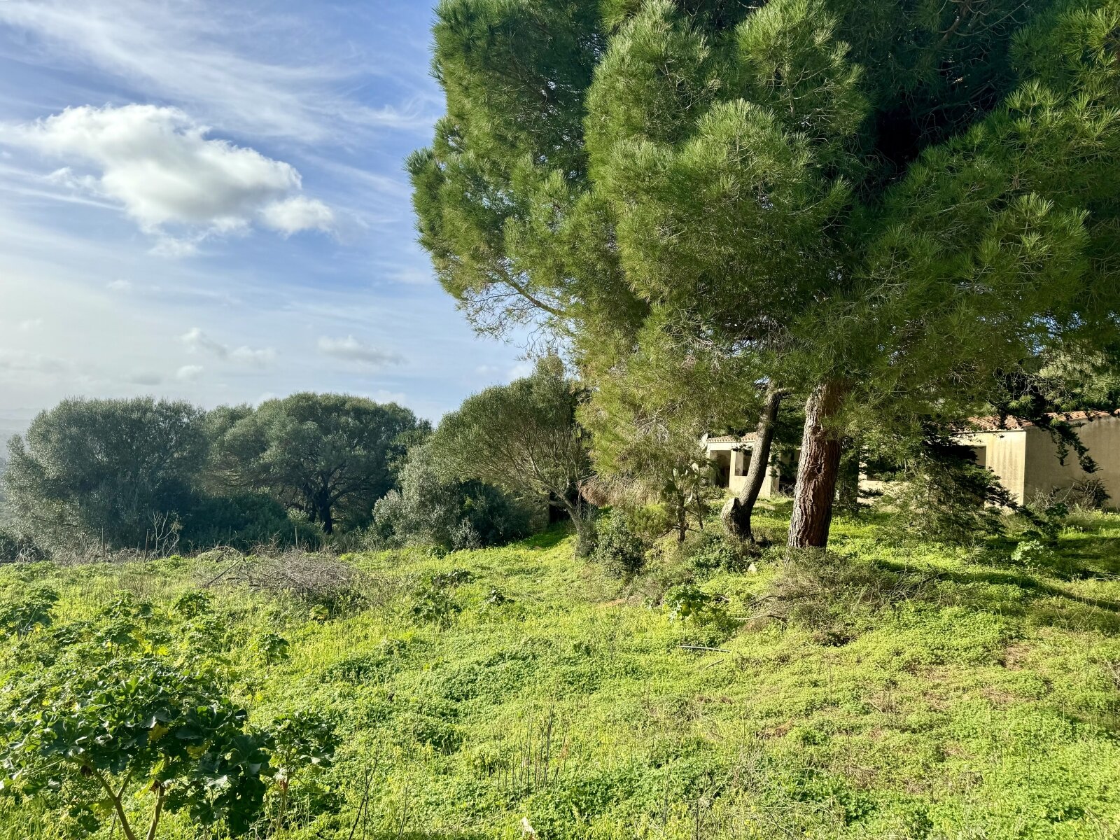 Große Struktur mit Meerblick und Potenzial, Vignola