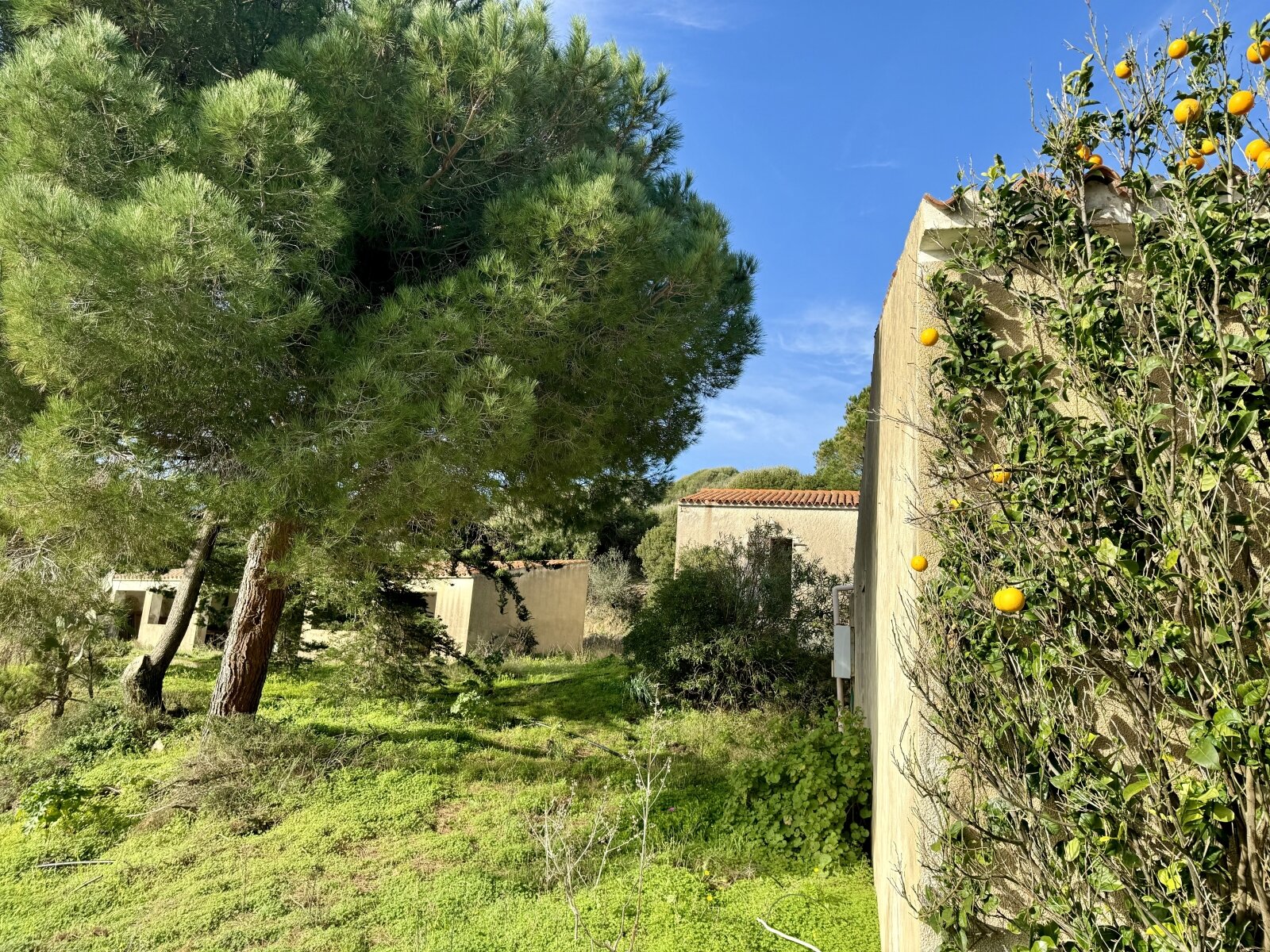 Große Struktur mit Meerblick und Potenzial, Vignola