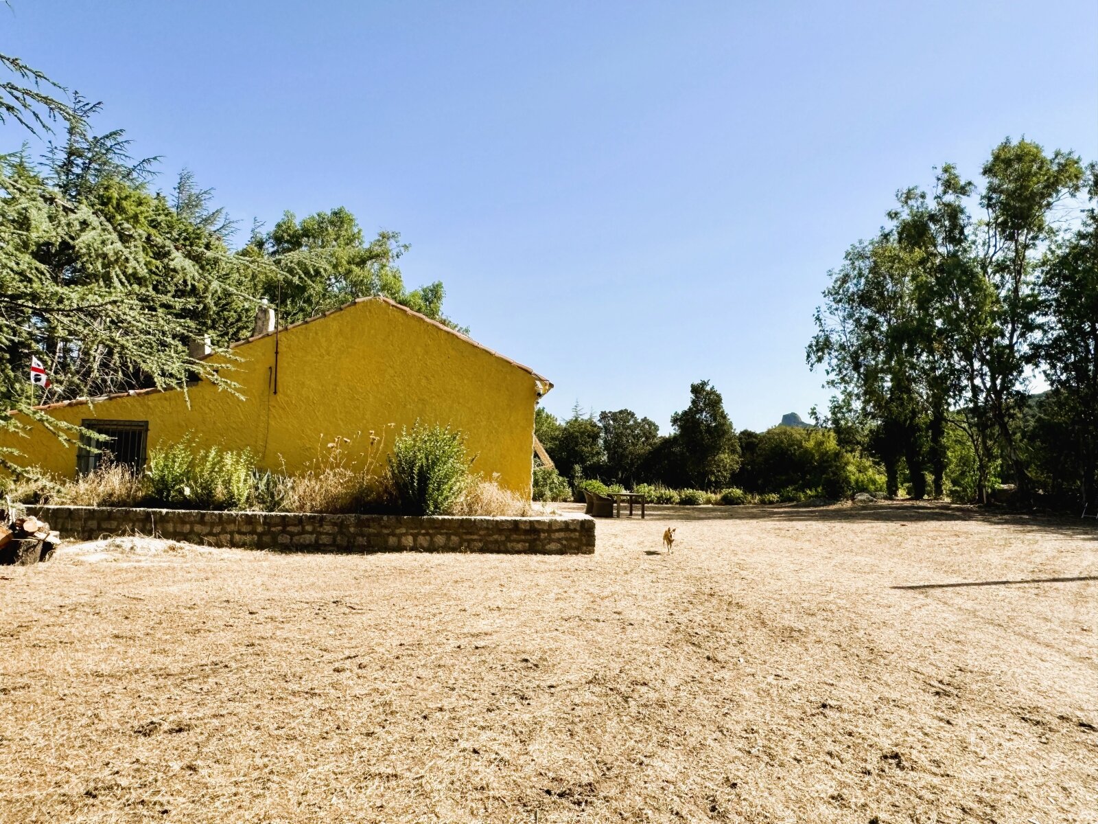Teilrestauriertes Stazzo mit 3,5 Hektar, Luogosanto