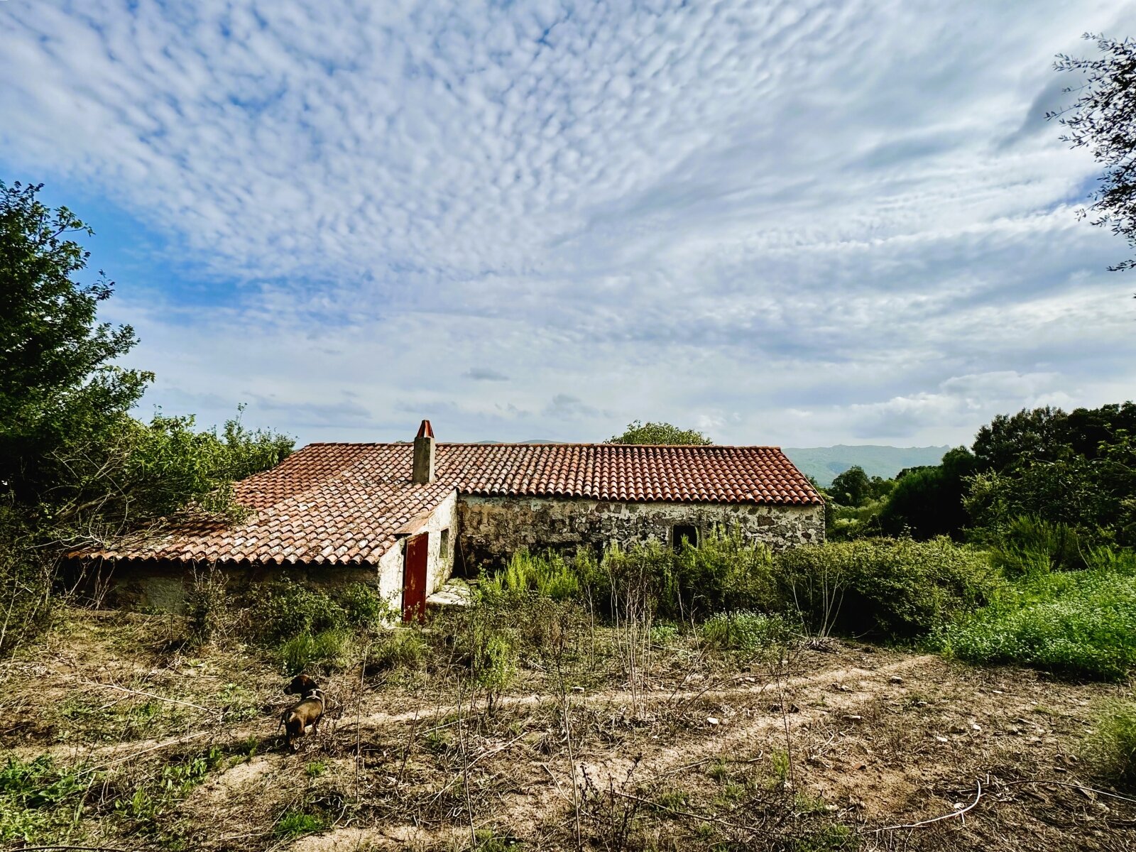 Historisches Stazzo Nähe Luogosanto