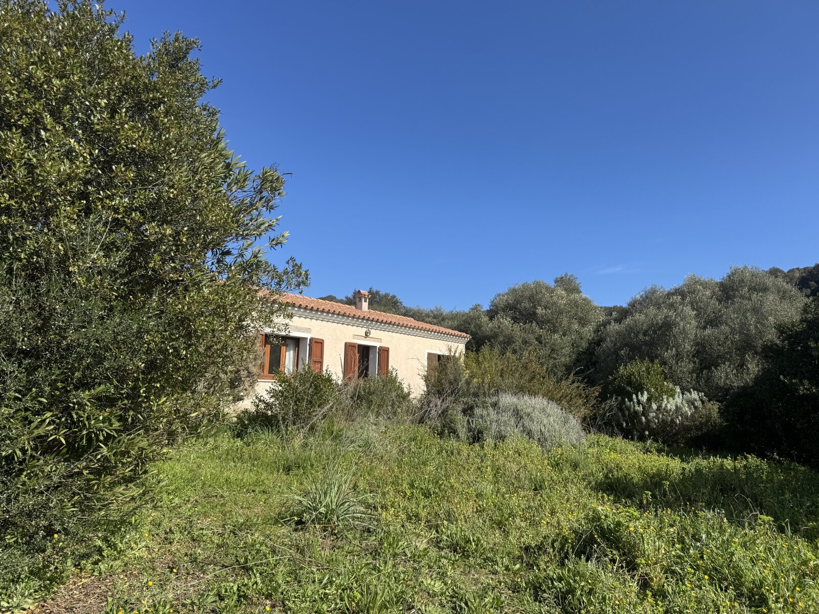 Restauriertes Stazzo in San Biago, 15 min bis zum Meer