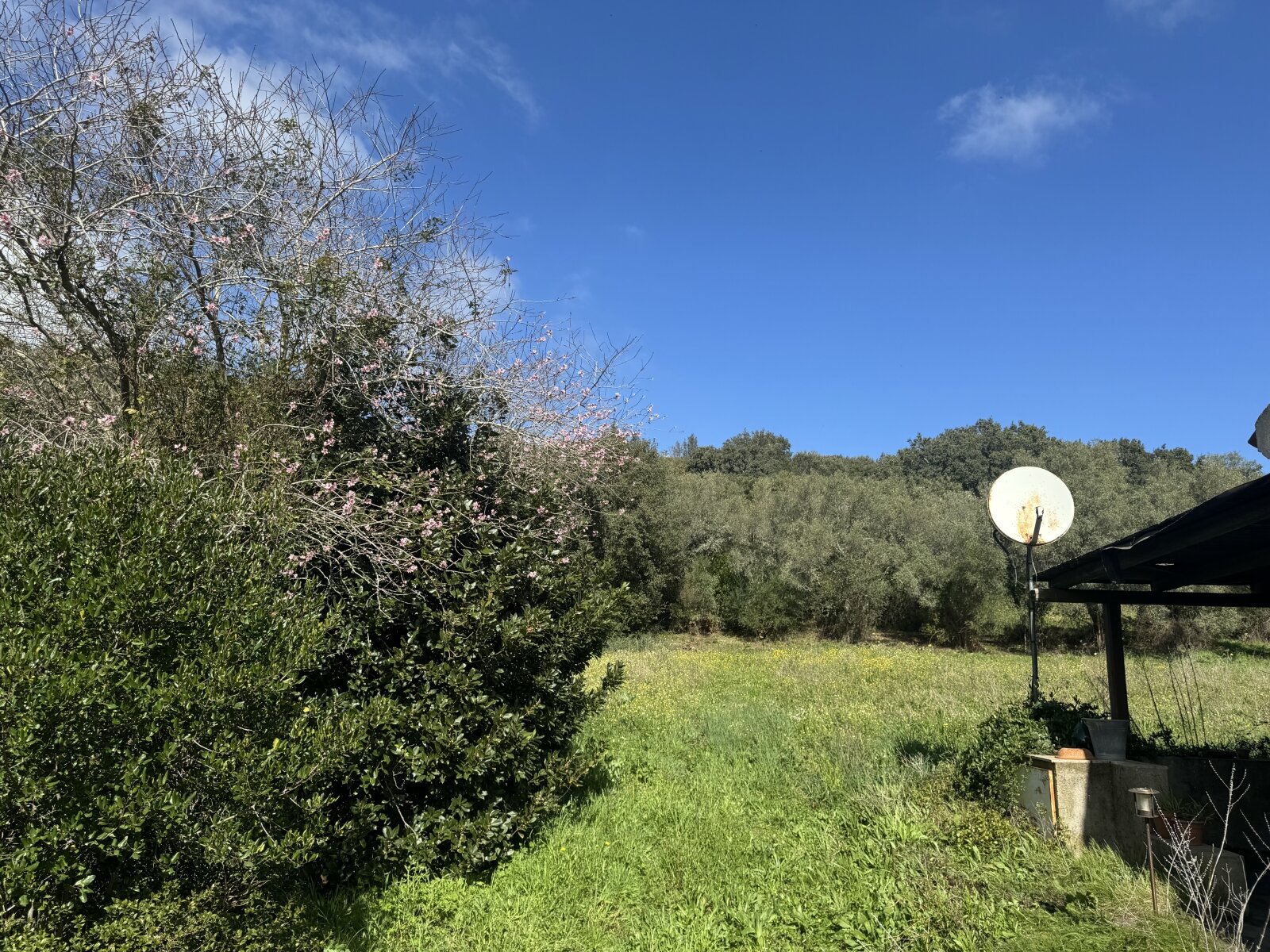 Restauriertes Stazzo in San Biago, 15 min bis zum Meer