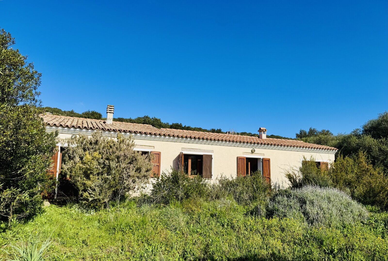 Restauriertes Stazzo in San Biago, 15 min bis zum Meer