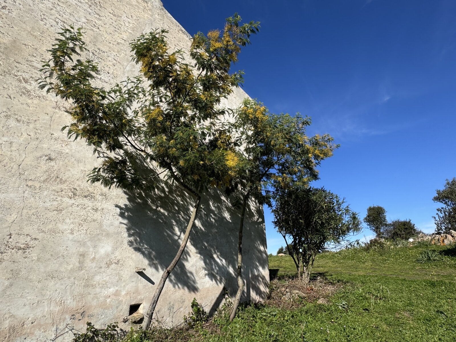 Großes Haus mit 4 Appartements, 60 Hektar, Meerblick