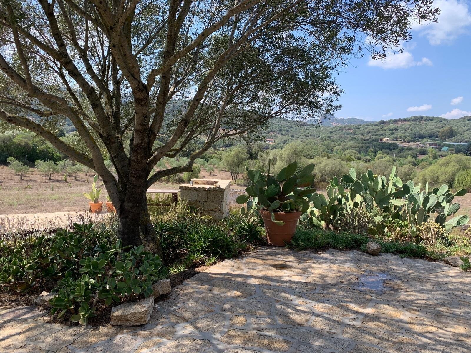 Wunderschönes Anwesen bei San Pantaleo