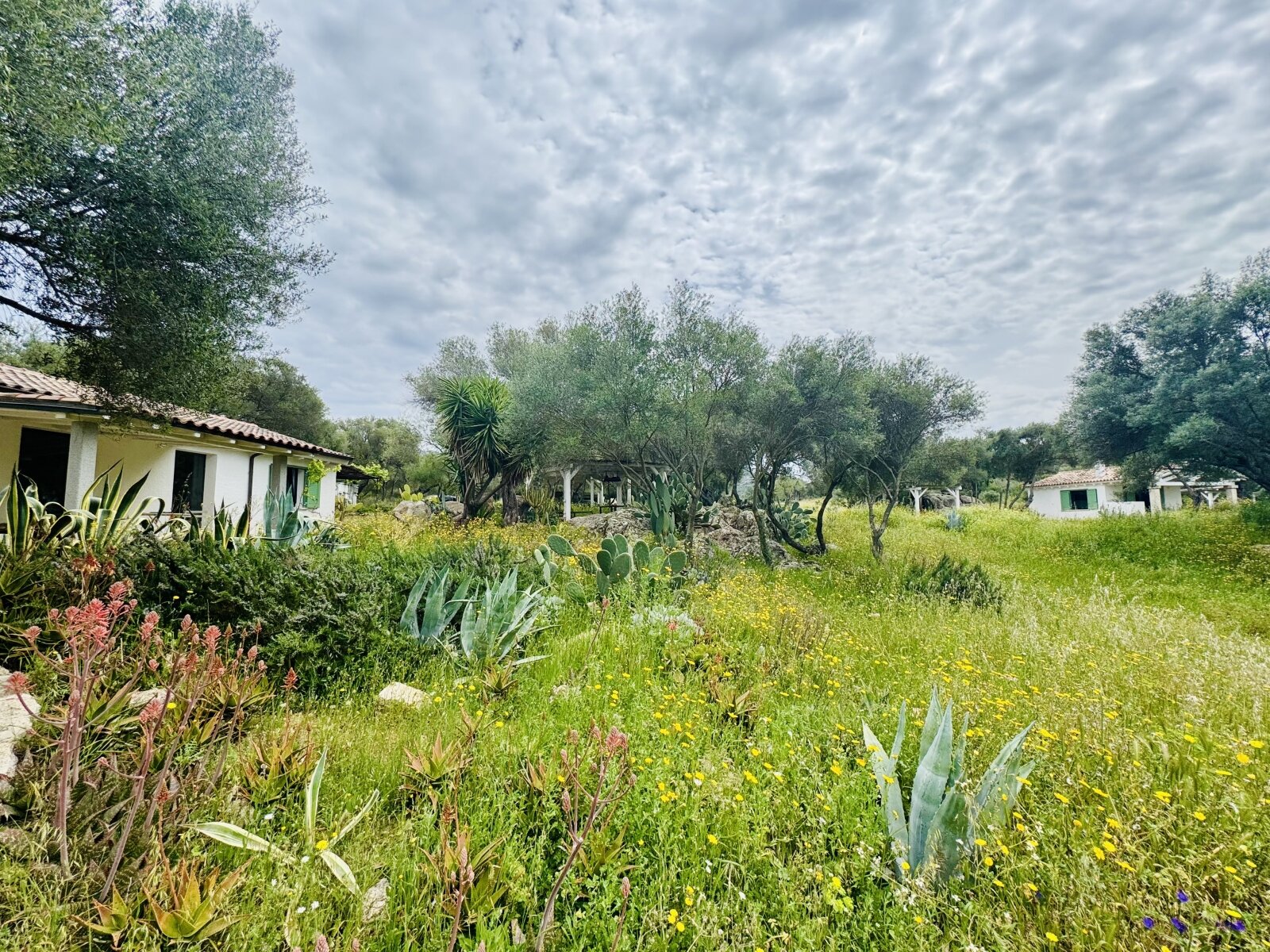 Wunderschönes Anwesen bei San Pantaleo
