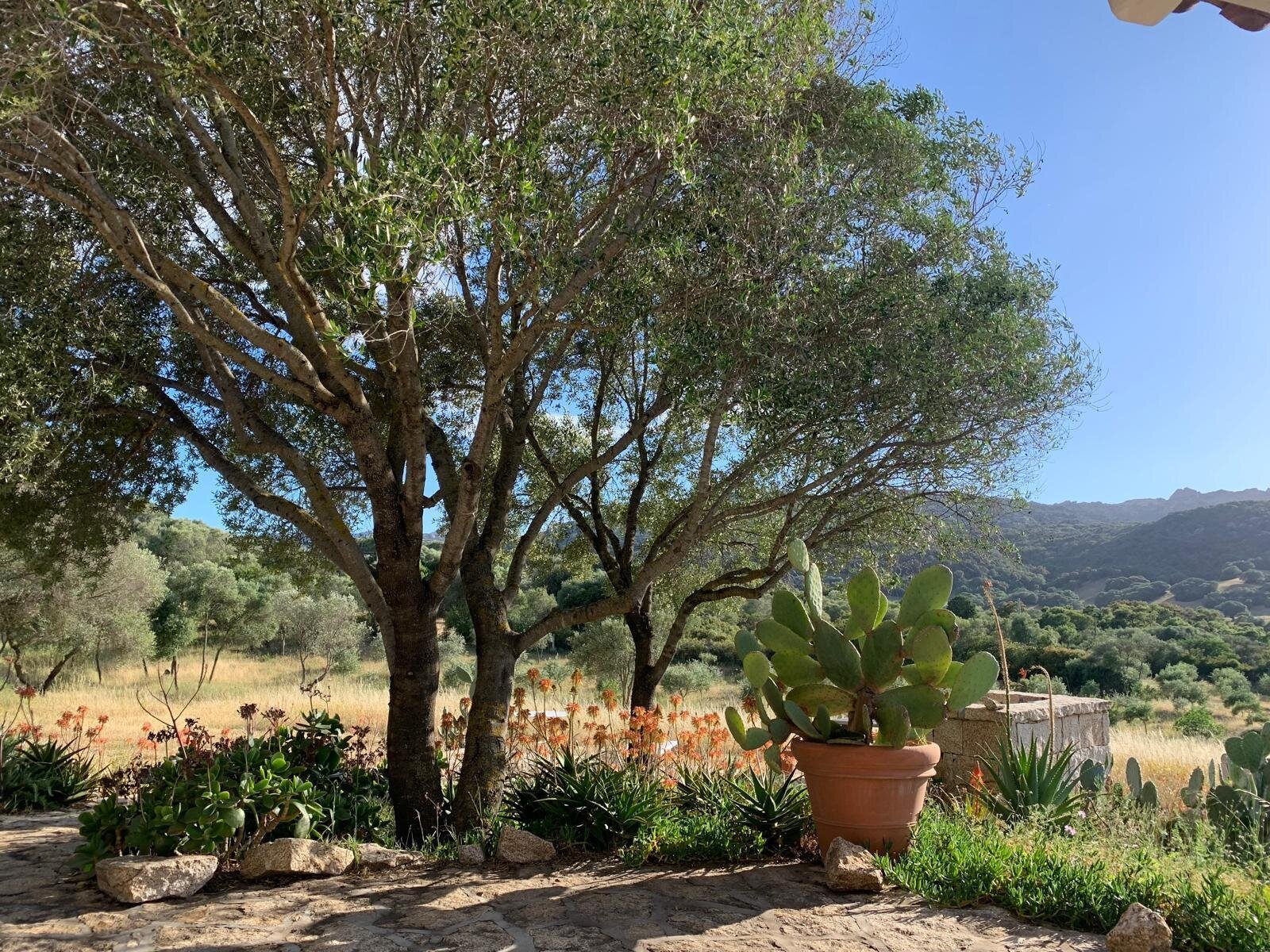 Wunderschönes Anwesen bei San Pantaleo