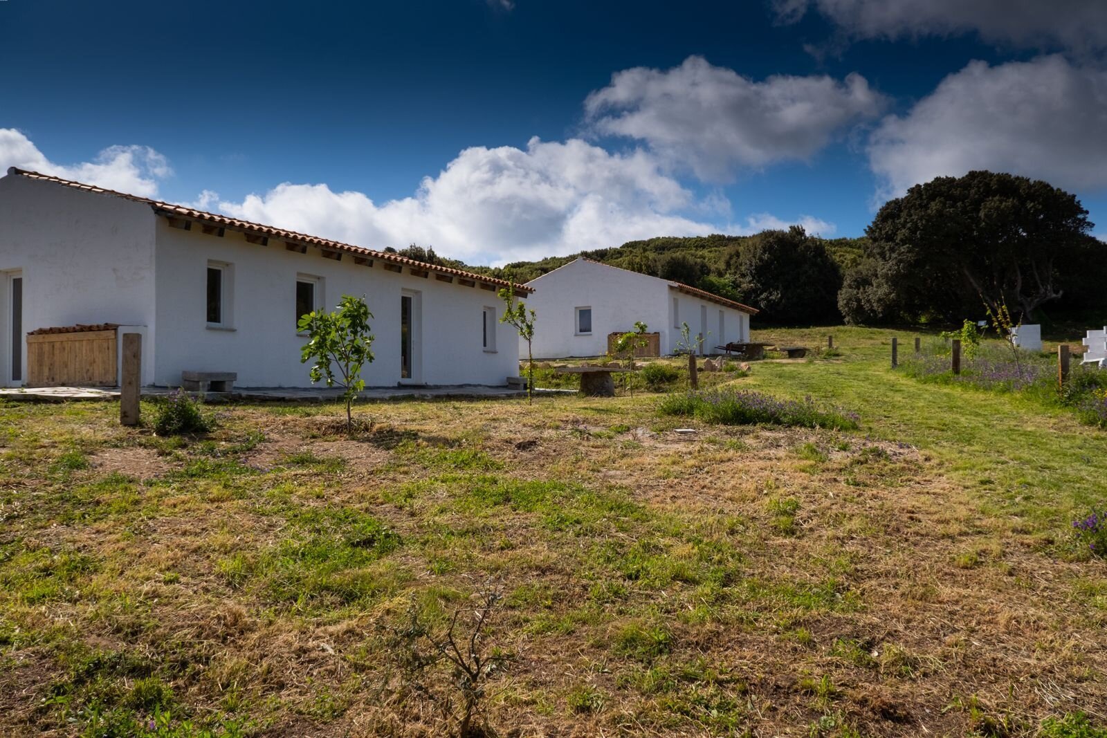 3 Häuser, Pool, Ruhe, Meerblick, 5 Hektar, Luogosanto