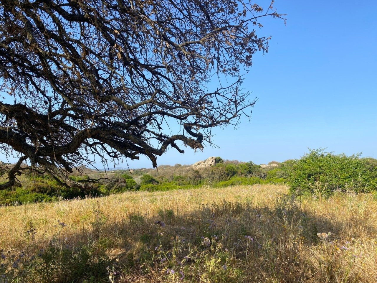 38 Hektar Land