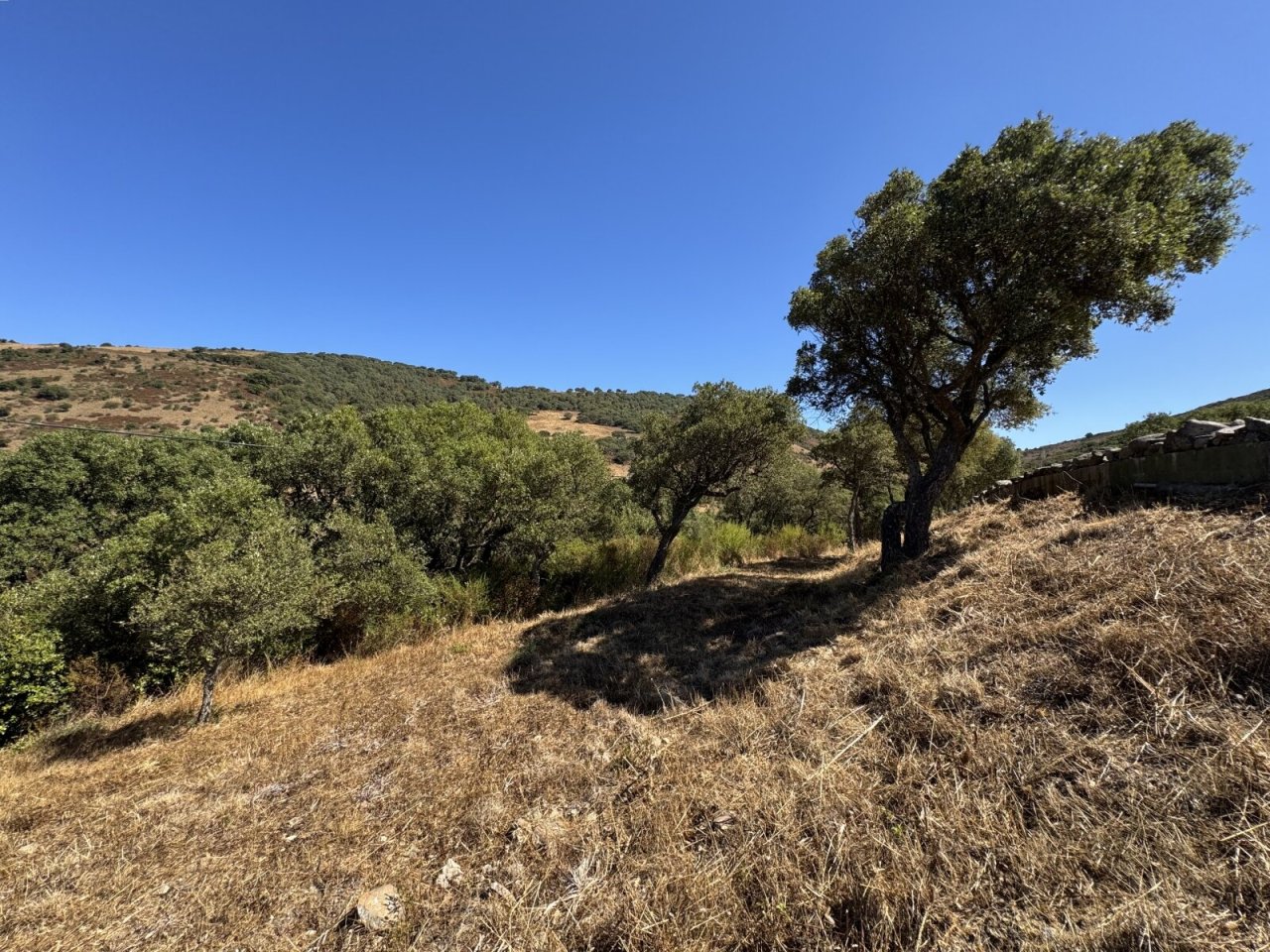 Grundstück mit mediterranem Charme - Naturnahe Parzelle mit Weitblick und altem Baumbestand! Grundstück mit mediterranem Charme - Naturnahe Parzelle mit Weitblick und altem Baumbestand!