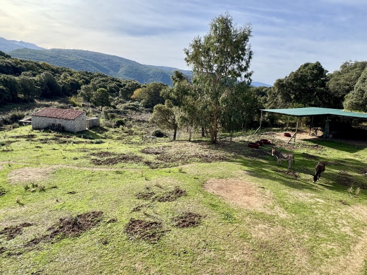 Land mit großem Stall Land mit großem Stall