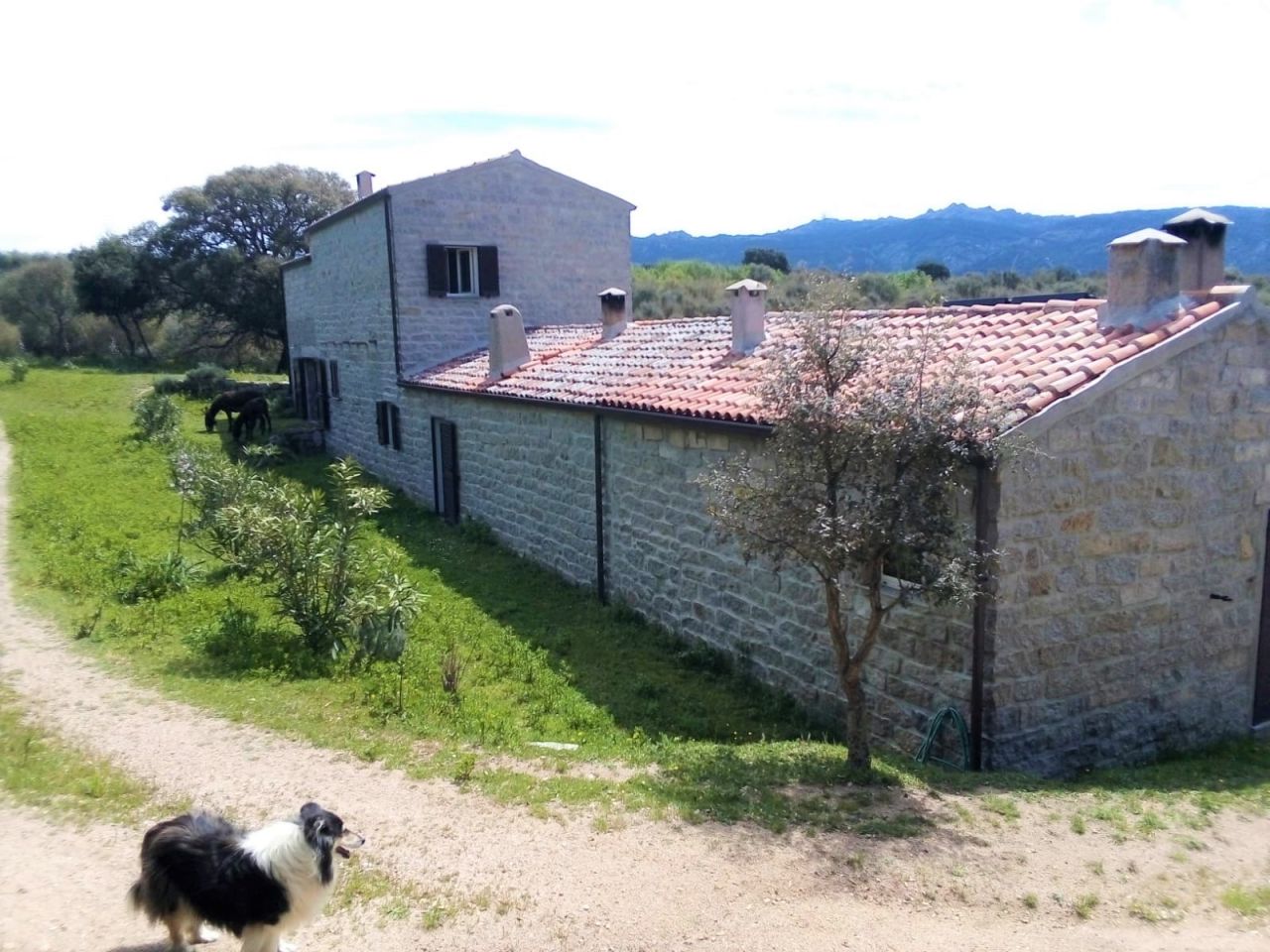 Stazzo Li Coddi Rückansicht bei Tempio