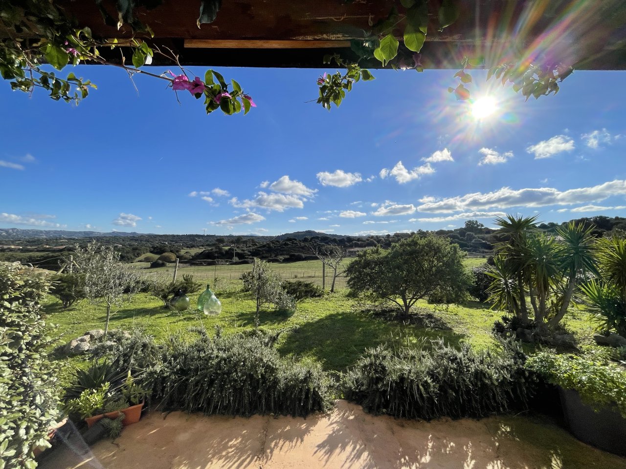 Blick von der Terrasse