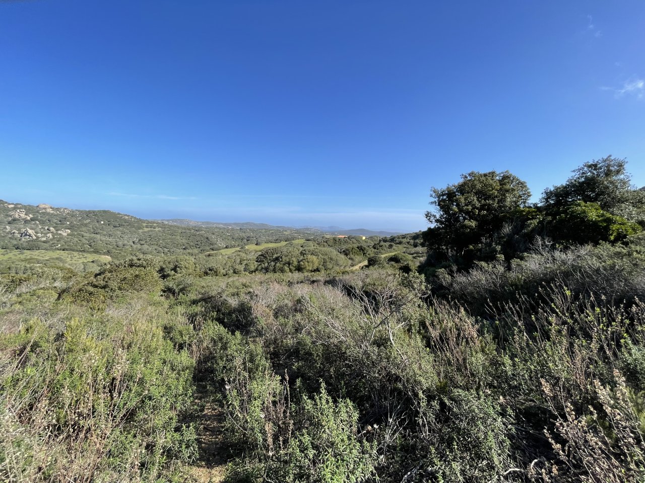 Grundstück Val di Mela mit Meerblick