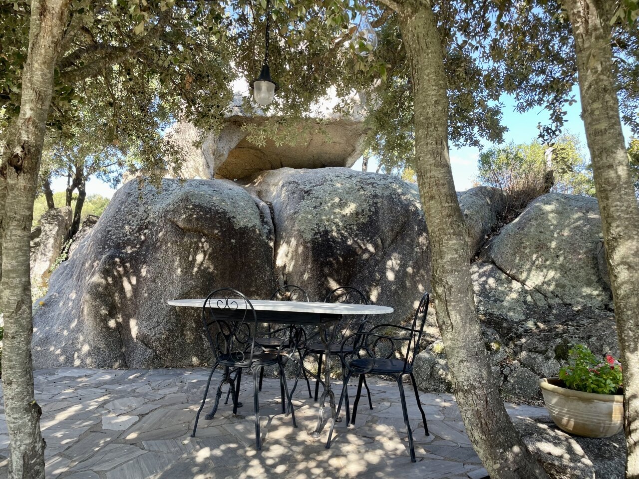 Schattenplatz unter Bäumen