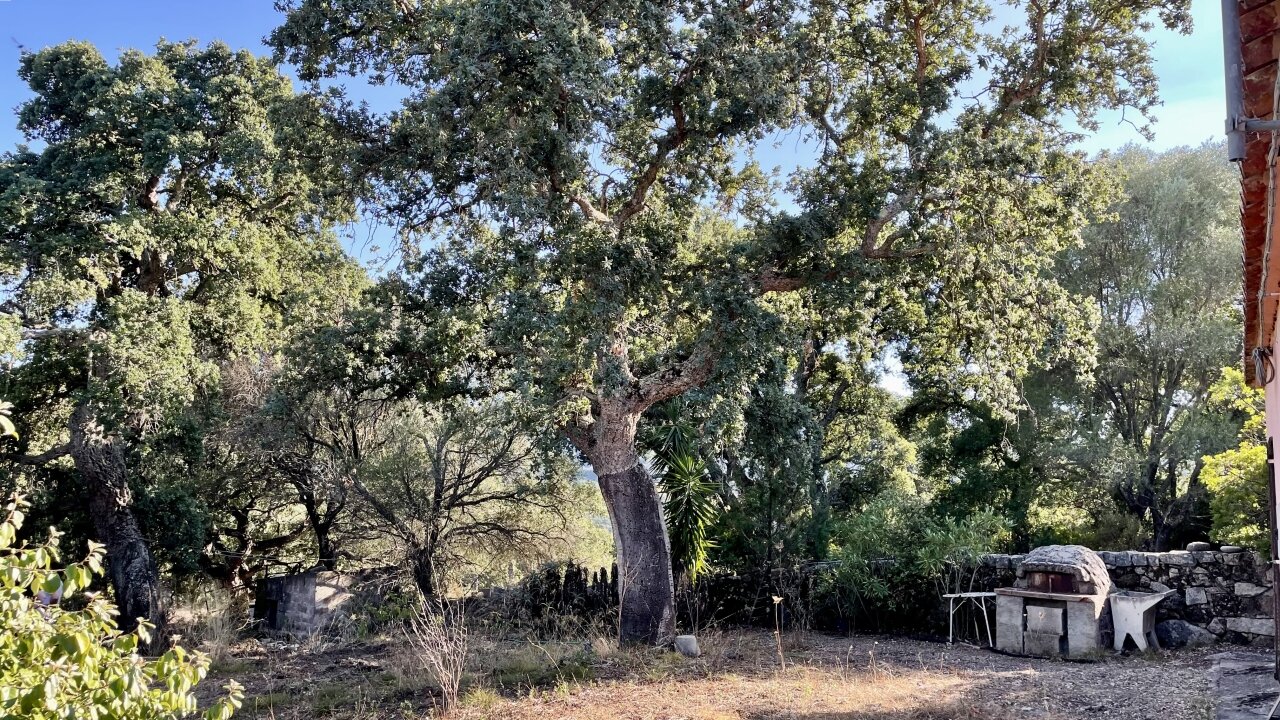 Garten vor dem Haus, Luogosanto