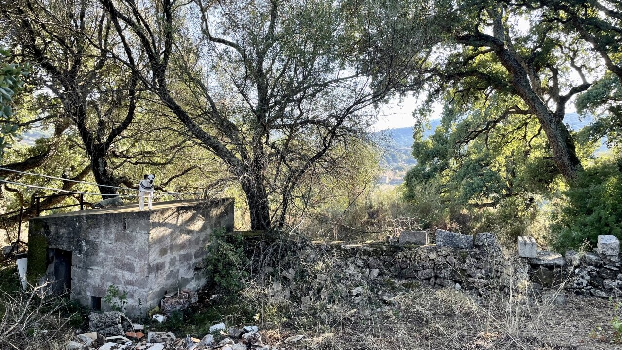 Garten vor dem Haus, Luogosanto