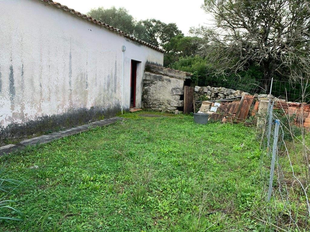 Rückseite mit kleinem Garten Rückseite mit kleinem Garten