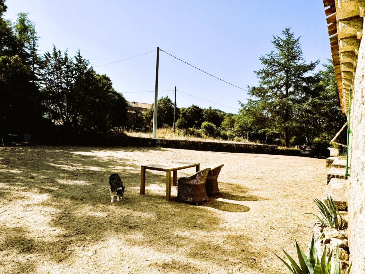 Vorplatz, Garten Vorplatz, Garten