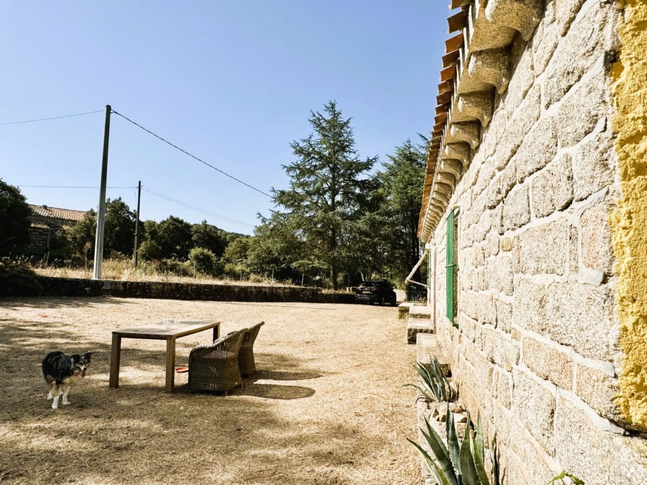 Vorplatz, Garten Vorplatz, Garten