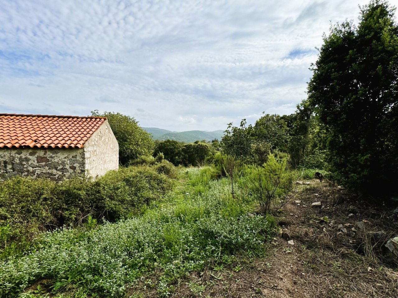 Stazzo La Sarra, Luogosanto Stazzo La Sarra, Luogosanto