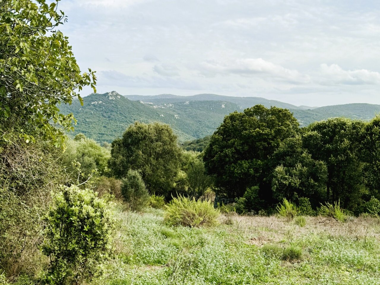 Stazzo La Sarra, Luogosanto Stazzo La Sarra, Luogosanto