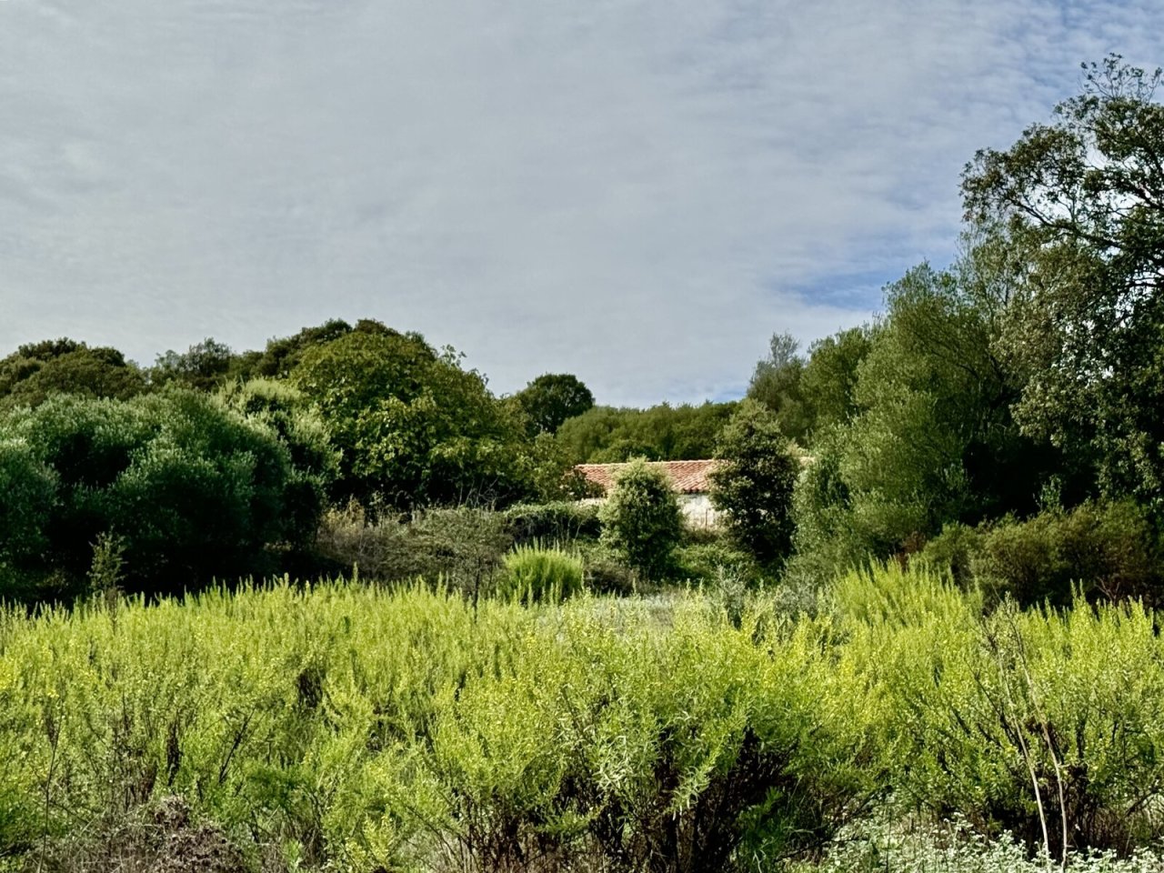 Stazzo La Sarra, Luogosanto Stazzo La Sarra, Luogosanto