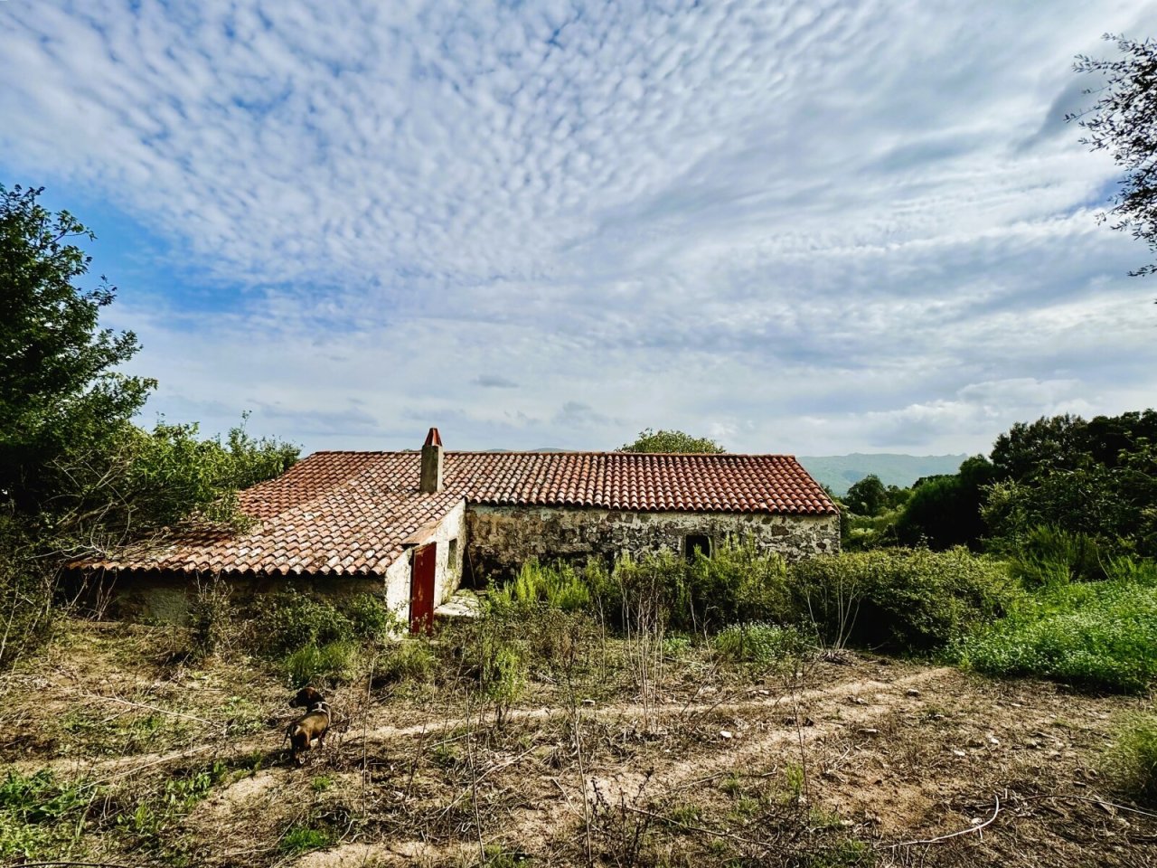 Stazzo La Sarra, Luogosanto Stazzo La Sarra, Luogosanto