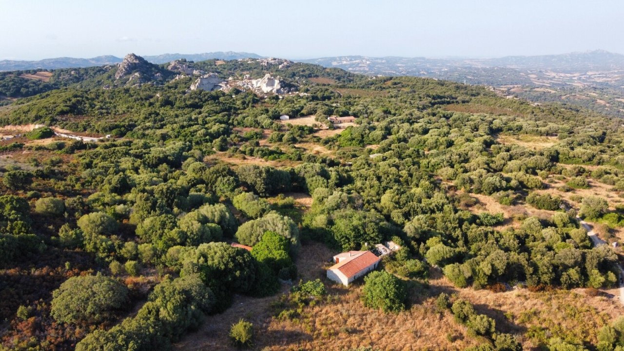 Stazzo La Sarra, Luogosanto, Drohne Stazzo La Sarra, Luogosanto, Drohne